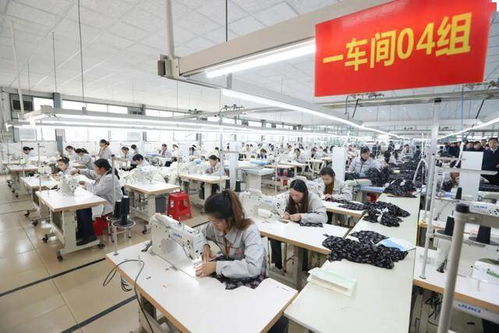 挺起高質(zhì)量發(fā)展的堅實脊梁——全市產(chǎn)業(yè)集聚區(qū)發(fā)展綜述與技術服務支撐