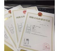 網(wǎng)絡(luò)文化經(jīng)營中的產(chǎn)品庫構(gòu)建與管理